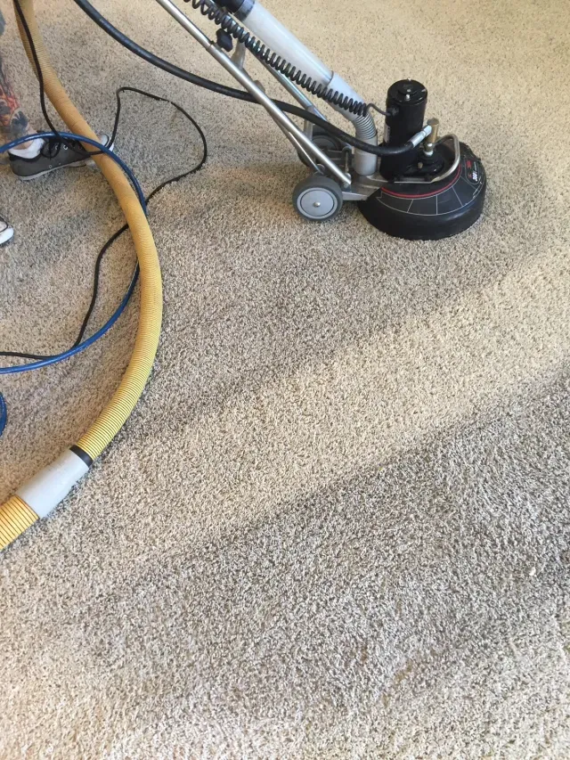 Very dirty carpet getting very clean